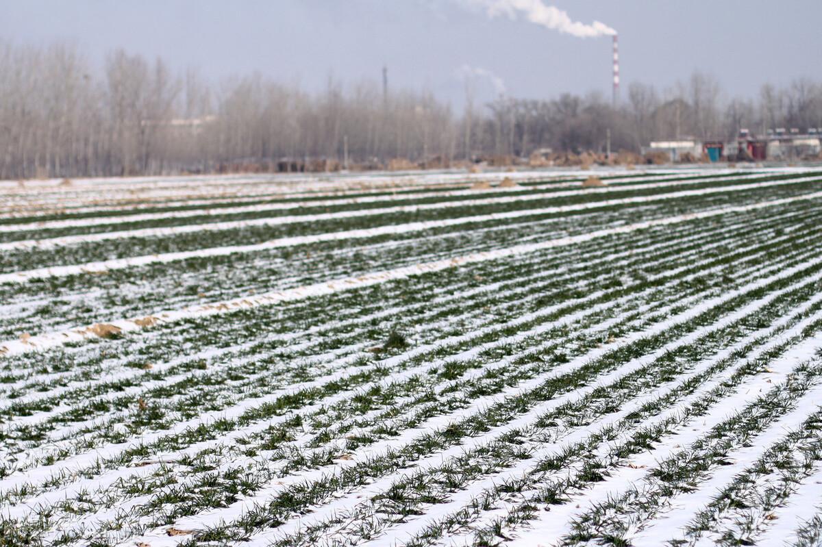 立冬下雪有什么预兆?立冬下雪好不好？