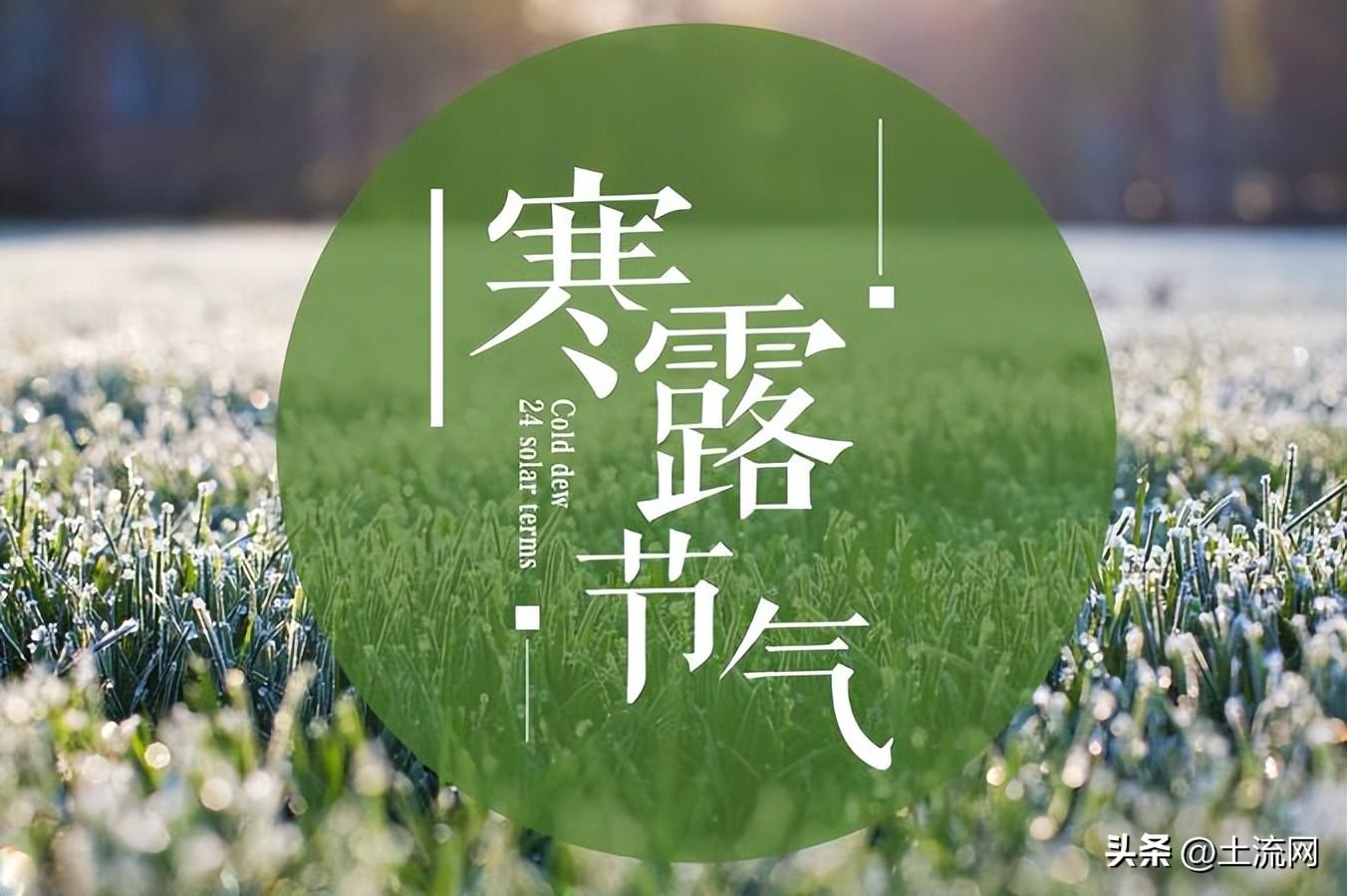 寒露节气的含义是什么?2022年寒露下雨好还是晴天好?