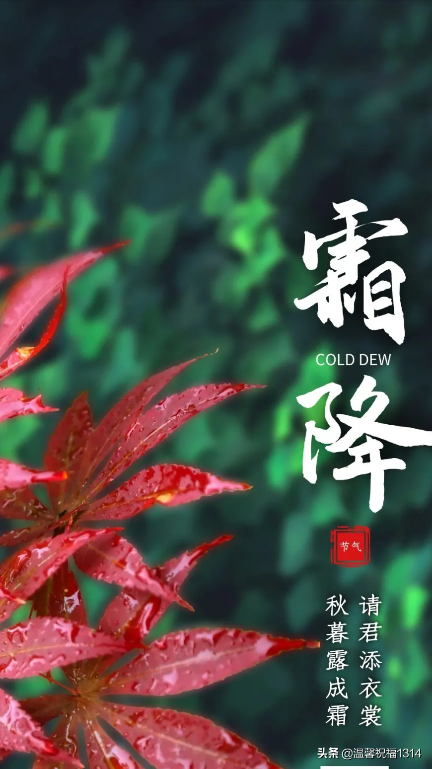 霜降图片大全大图祝福(霜降适合发朋友圈的祝福文案和美图)
