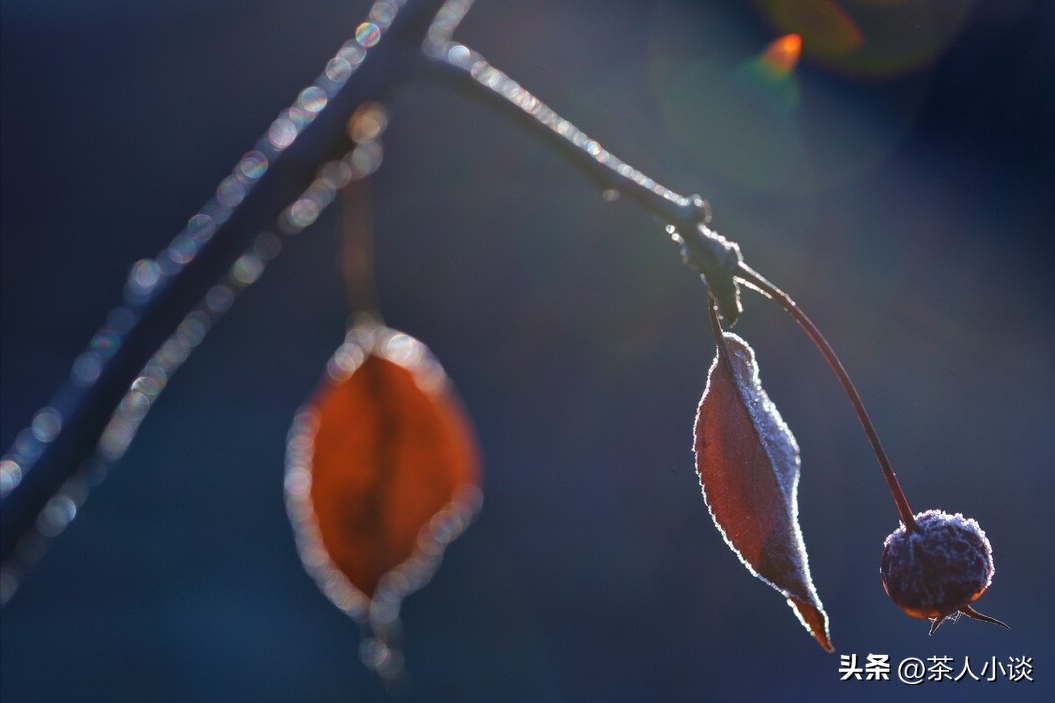 立冬有雨好还是没雨好（立冬有雨一冬寒,立冬无雨一冬暖的意思）