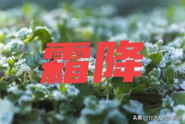 霜降下了雨好还是不下雨好(霜降无雨,清明断车是什么意思)