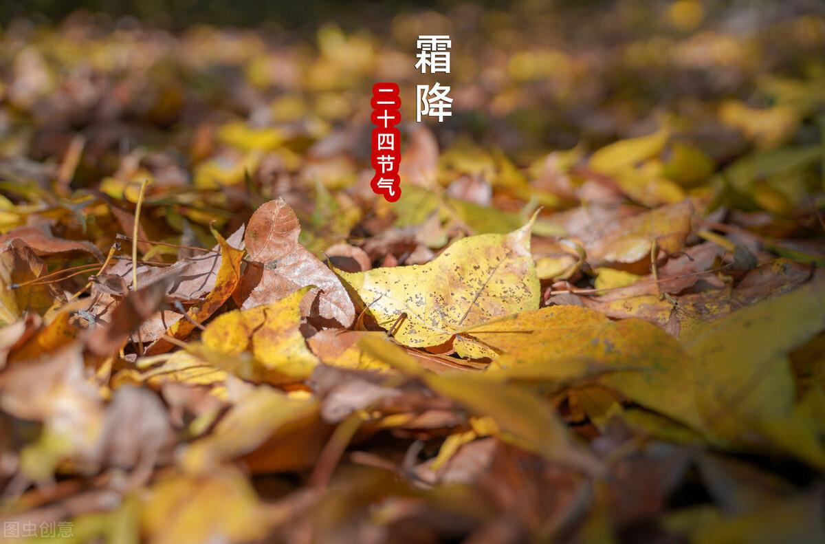 霜降吃什么好霜降养生需要注意些什么