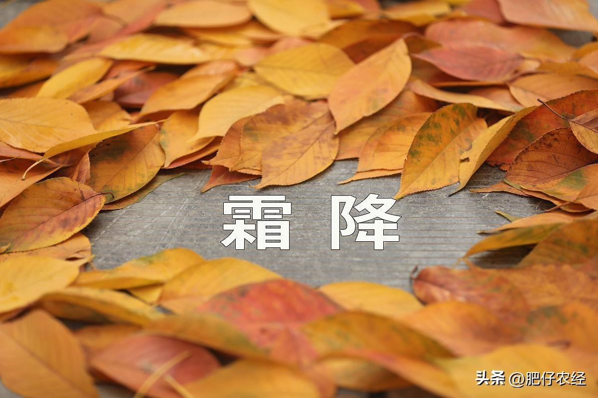 学习强国秋分早霜降迟下一句是什么?