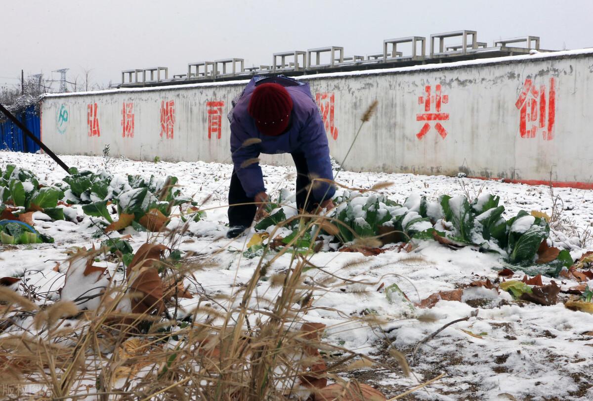 立冬下雪有什么预兆?立冬下雪好不好？