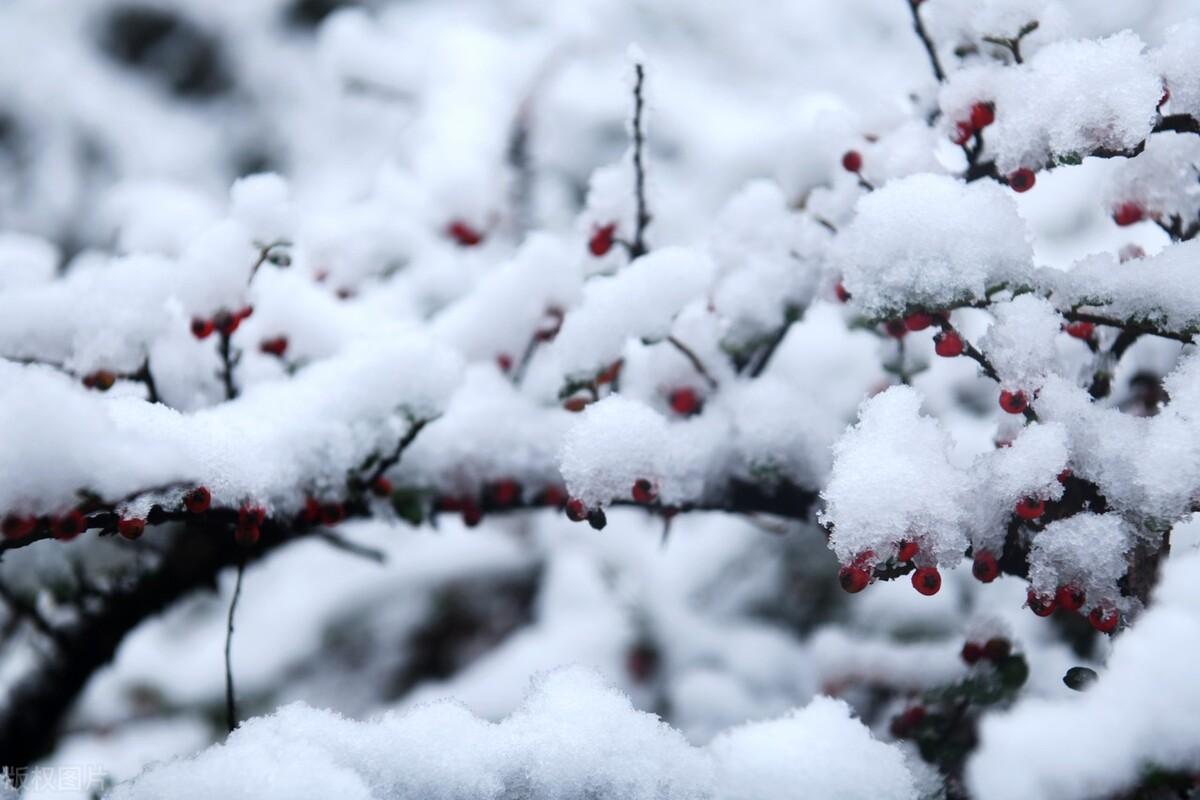 立冬下雪有什么预兆?立冬下雪好不好？