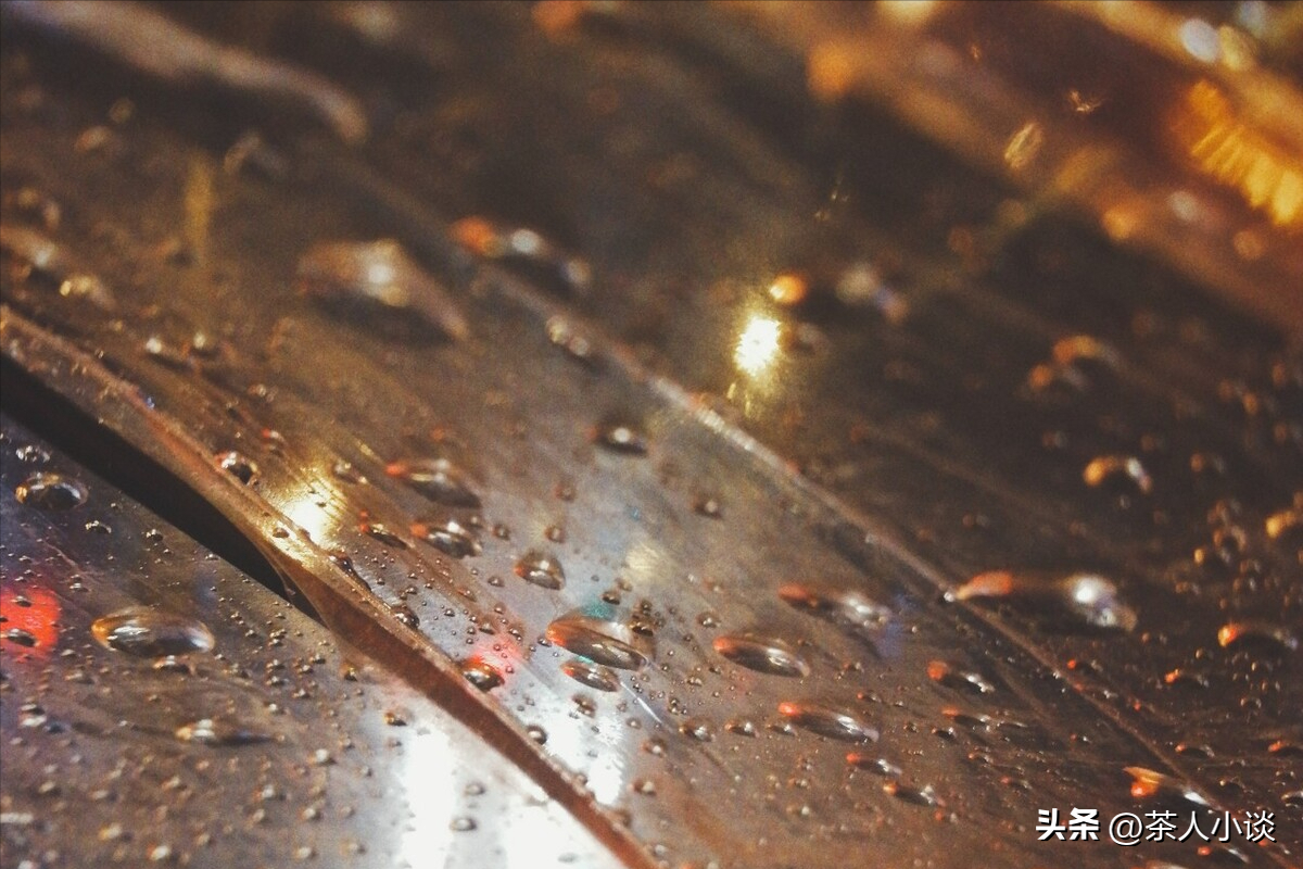 立冬有雨好还是没雨好（立冬有雨一冬寒,立冬无雨一冬暖的意思）