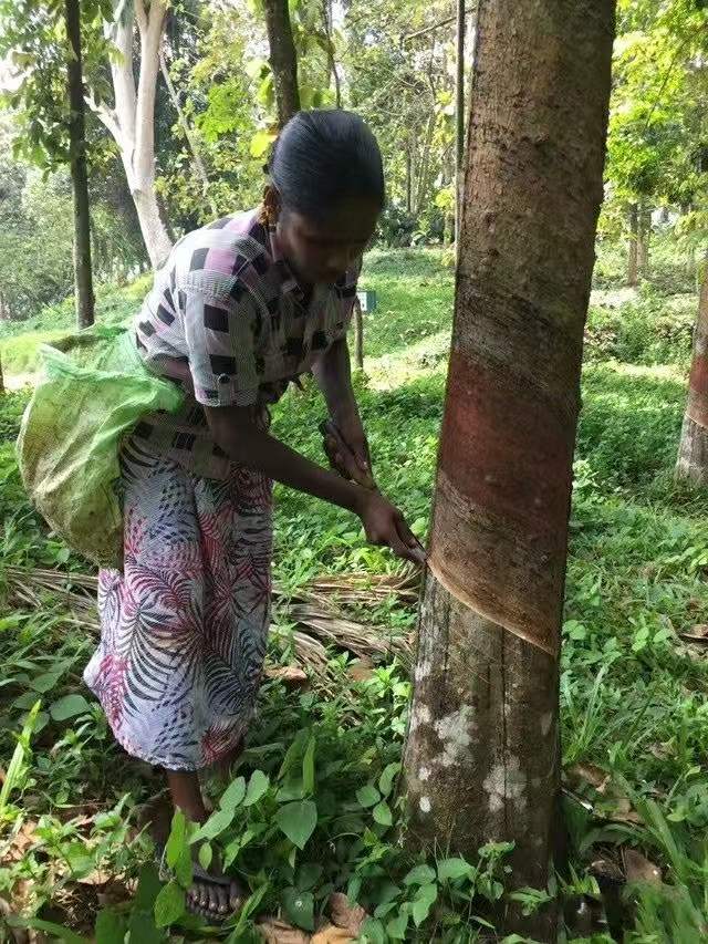 斯里兰卡地理位置地图（斯里兰卡破产最新现状原因）