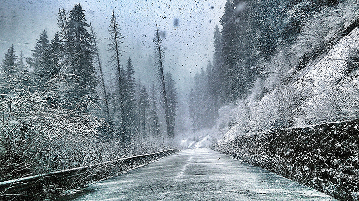1666753491863967.jpg 大雪5.jpg