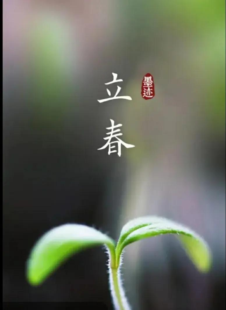 节气是什么意思(节气为什么叫节气)