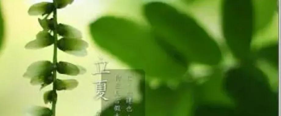 节气是什么意思（节气为什么叫节气）