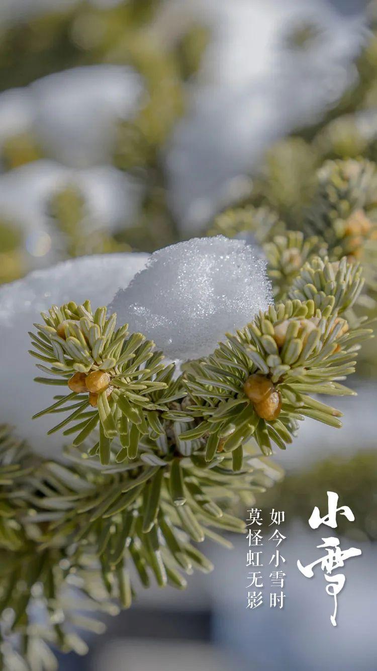 小雪节气图片大全简单又漂亮（适合小雪发的朋友圈图片）