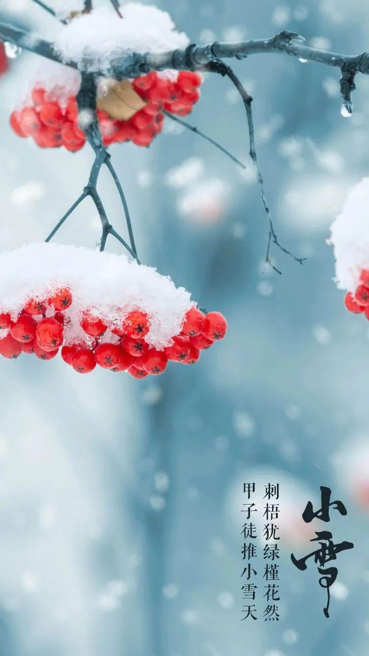 小雪节气图片大全简单又漂亮（适合小雪发的朋友圈图片）