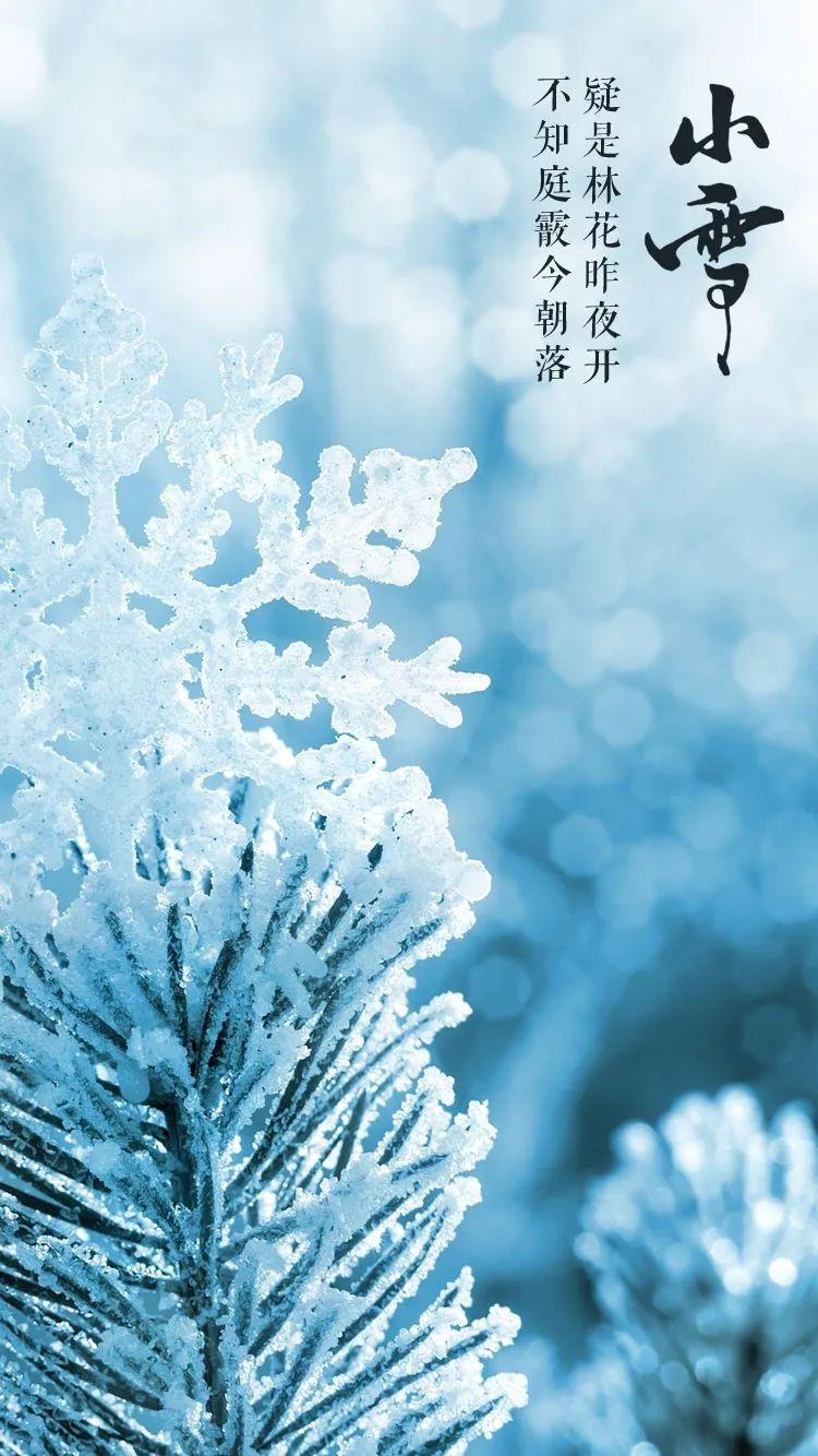 小雪节气图片大全简单又漂亮（适合小雪发的朋友圈图片）