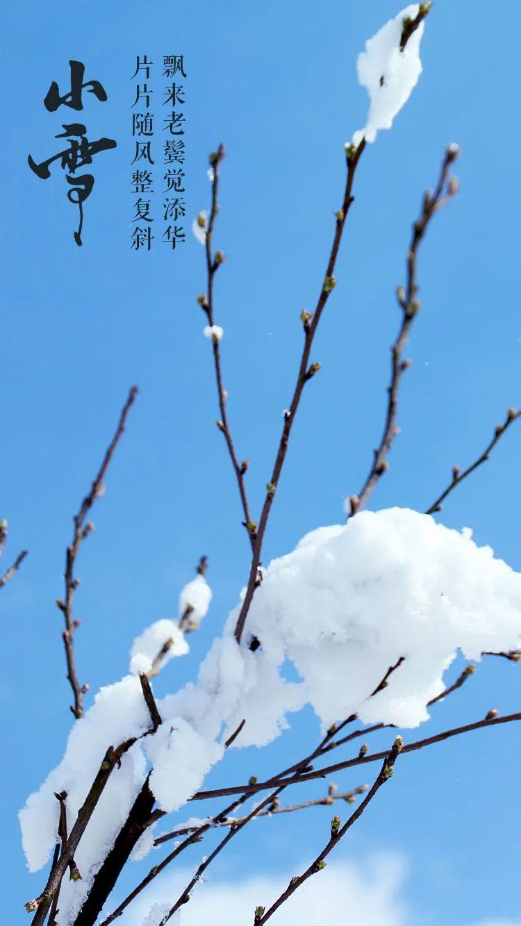 小雪节气图片大全简单又漂亮（适合小雪发的朋友圈图片）