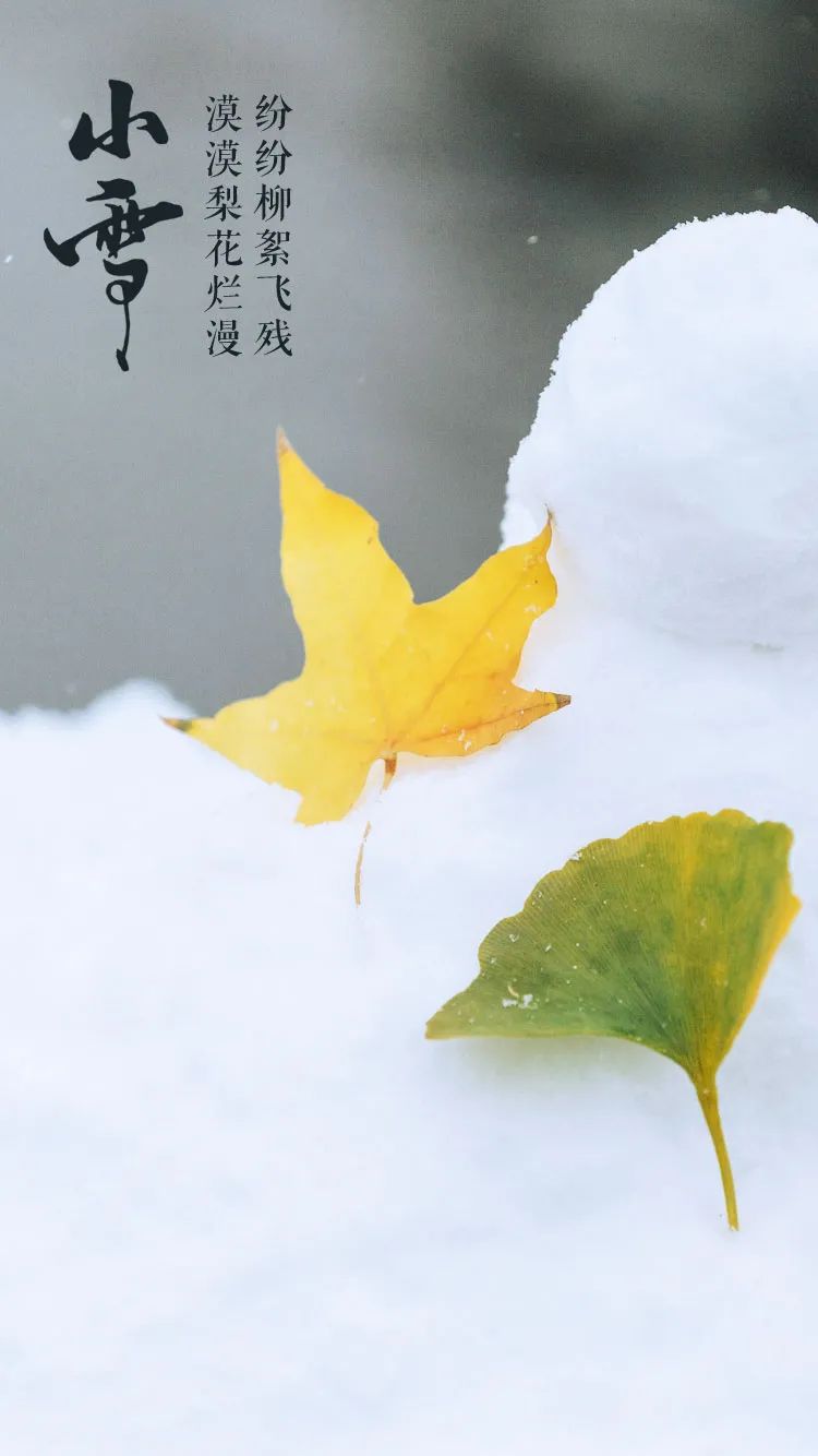 小雪节气图片大全简单又漂亮（适合小雪发的朋友圈图片）