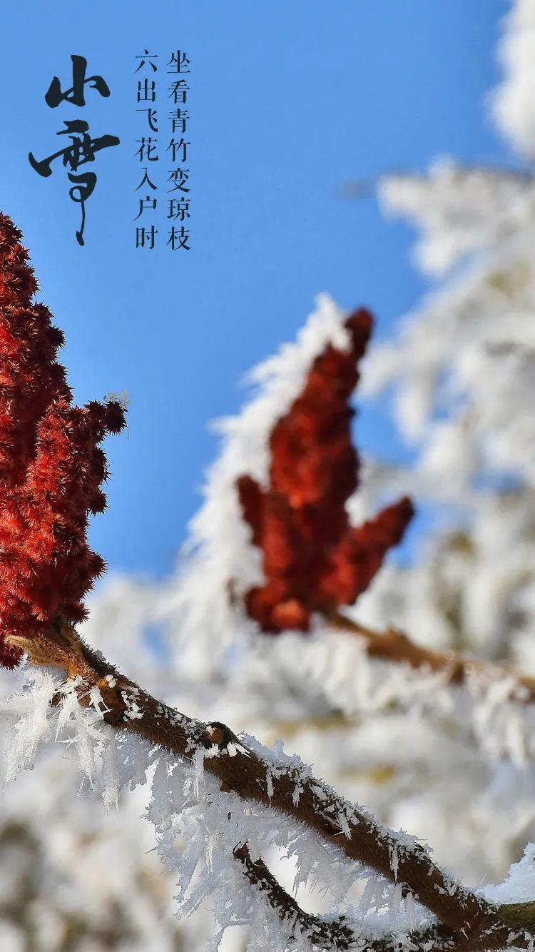 小雪节气图片大全简单又漂亮（适合小雪发的朋友圈图片）