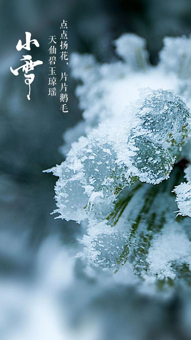 小雪节气图片大全简单又漂亮（适合小雪发的朋友圈图片）