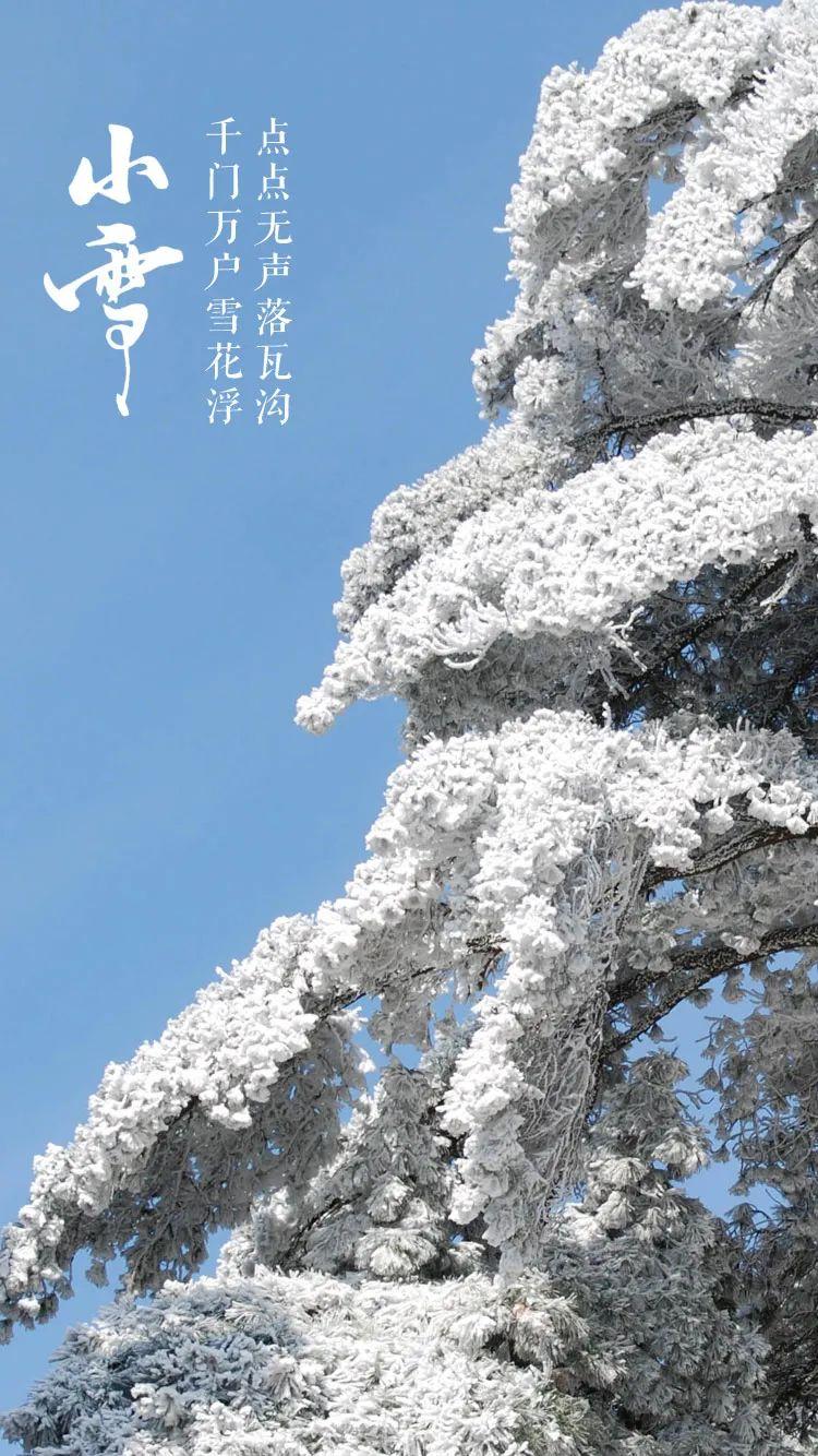 小雪节气图片大全简单又漂亮（适合小雪发的朋友圈图片）