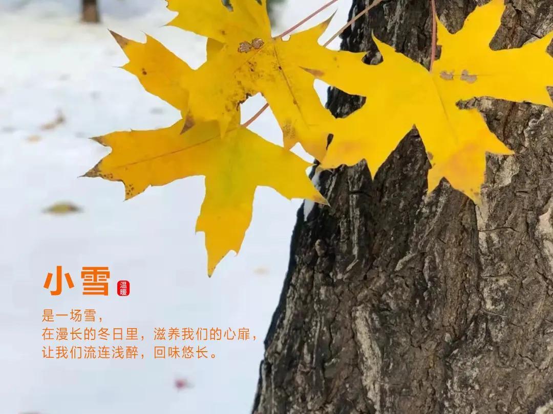 今日小雪祝福语文案（小雪节气朋友圈文案）