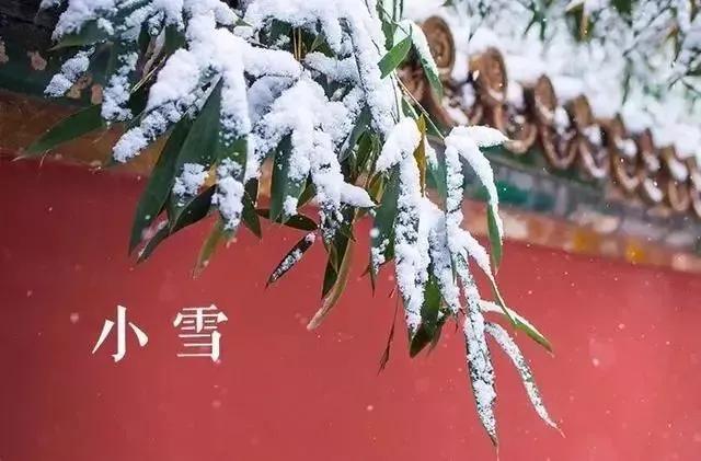 小雪节气关心语录简短(小雪节气问候语）