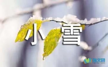 小雪节气关心语录简短(小雪节气问候语）