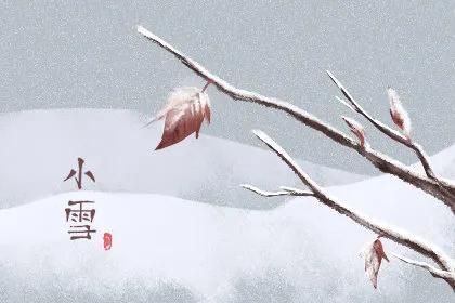 小雪节气关心语录简短(小雪节气问候语）