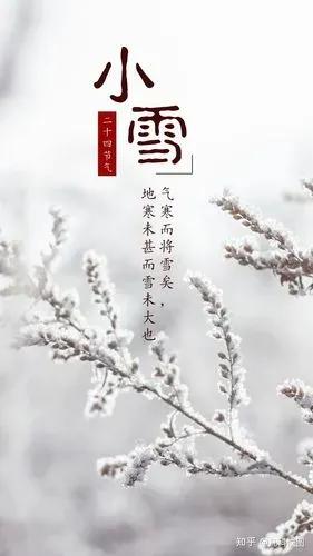 小雪节气关心语录简短(小雪节气问候语）