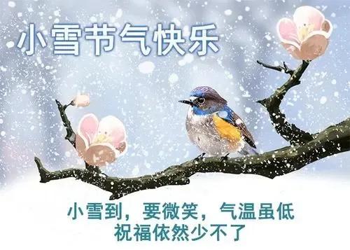 小雪节气关心语录简短(小雪节气问候语）