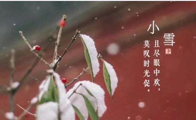 小雪节气关心语录简短(小雪节气问候语）