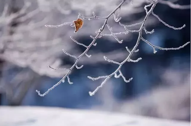 24节气小雪节气农谚谚语大全