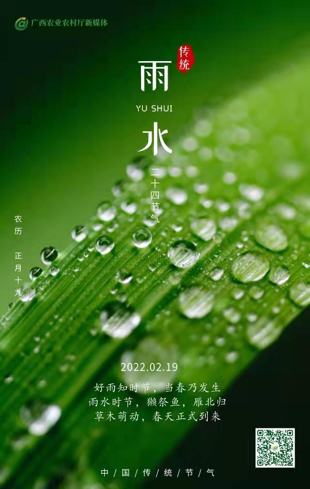 二十四节气雨水图片带文字(雨水节气资料大全)
