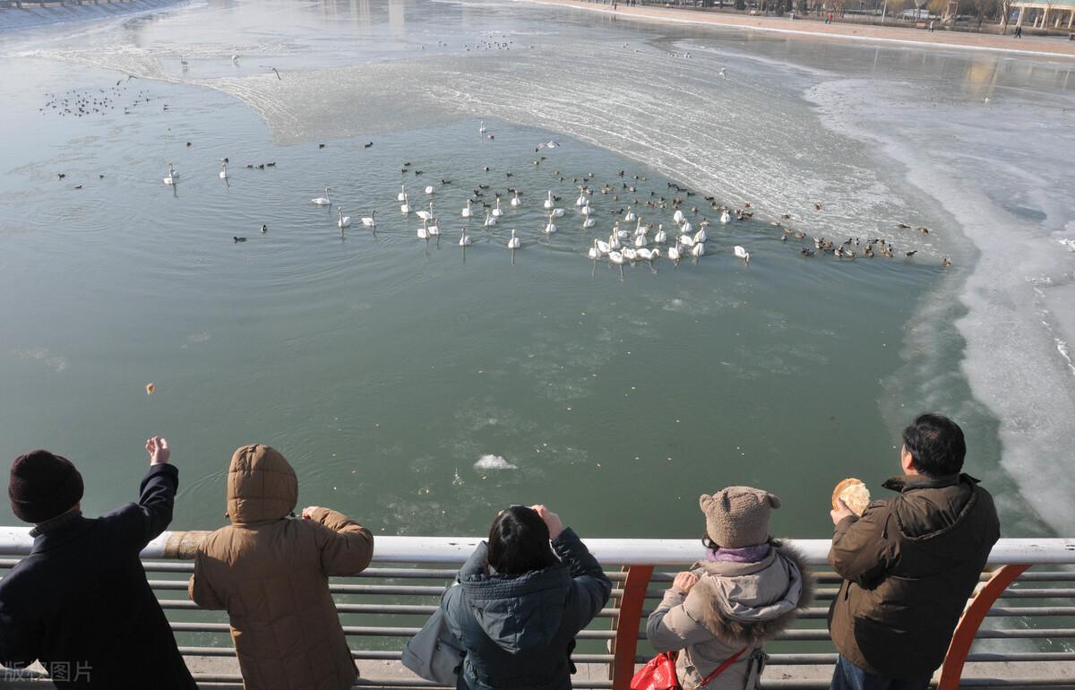 立冬交十月小雪地封严雪的形成是什么现象？