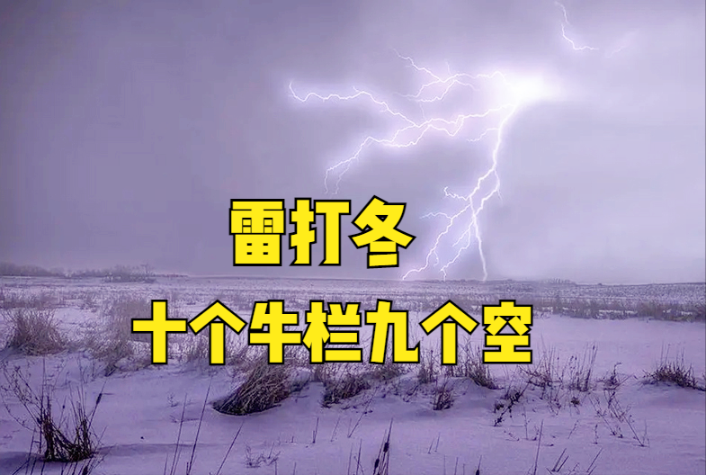 雷打冬十个牛栏九个空什么意思？