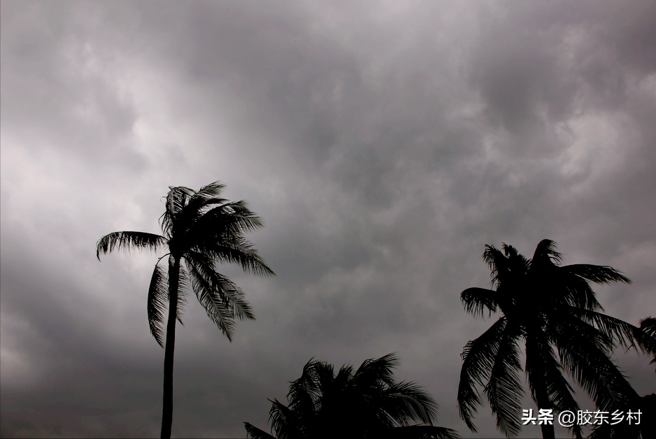 立冬晴一冬晴立冬雨一冬雨什么意思?