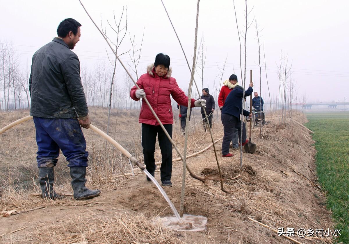 小雪节气的顺口溜大全（小雪节气的谚语大全）