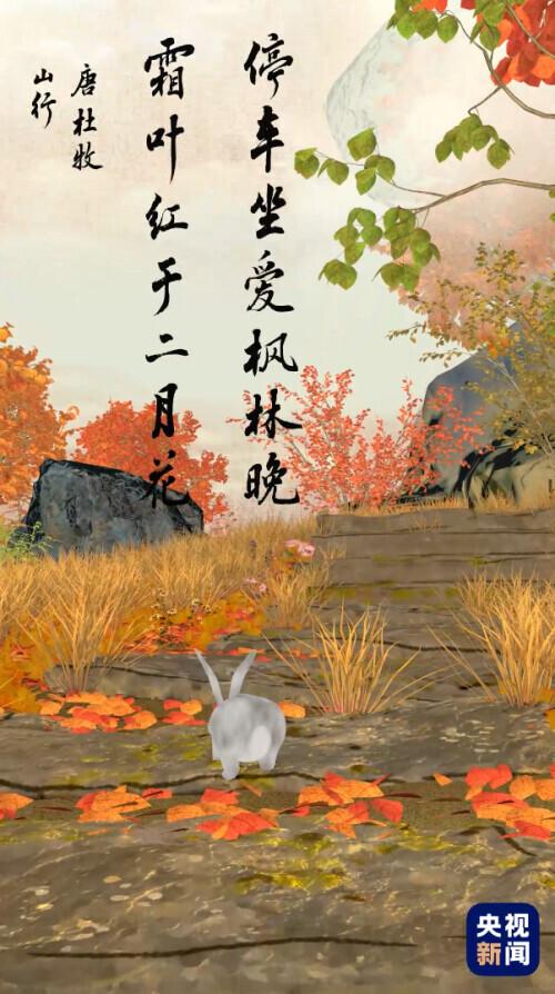 寒露节气的特点和风俗(寒露节气的饮食与养生)
