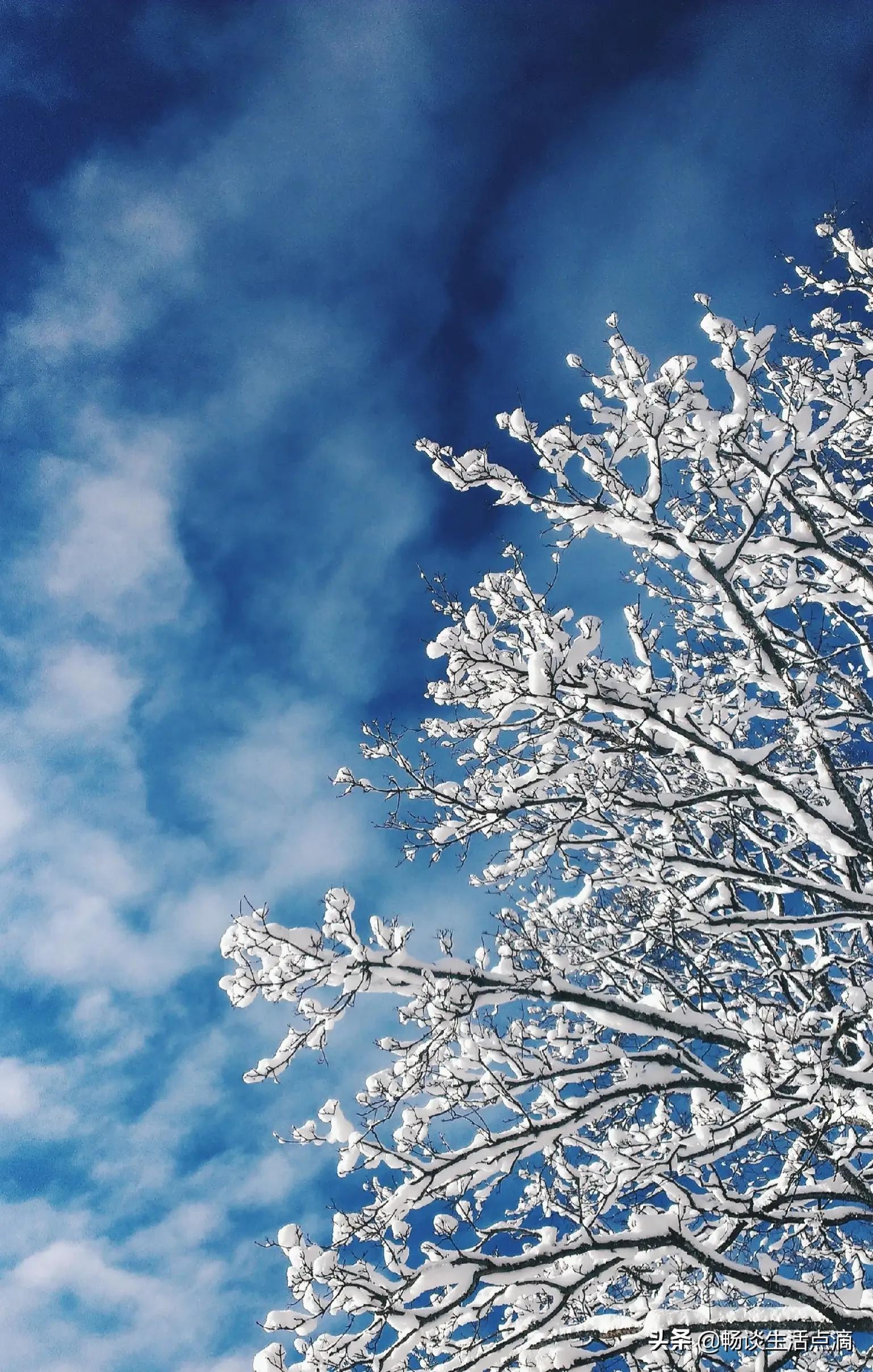 小雪见晴天,有雪到年边什么意思