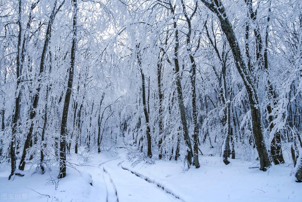 小雪无云大雪补，大雪无云百姓苦是什么意思？