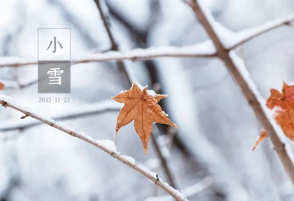 小雪节气煲什么汤最养生?（大雪节气适合吃什么汤好？）