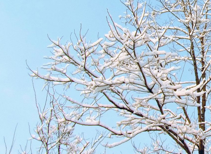 小雪和大雪节气的区别和联系