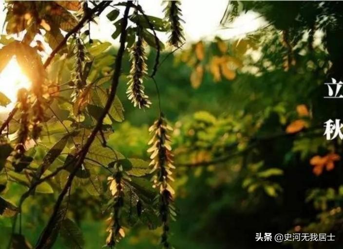 物候是什么意思（物候与二十四节气的关系）