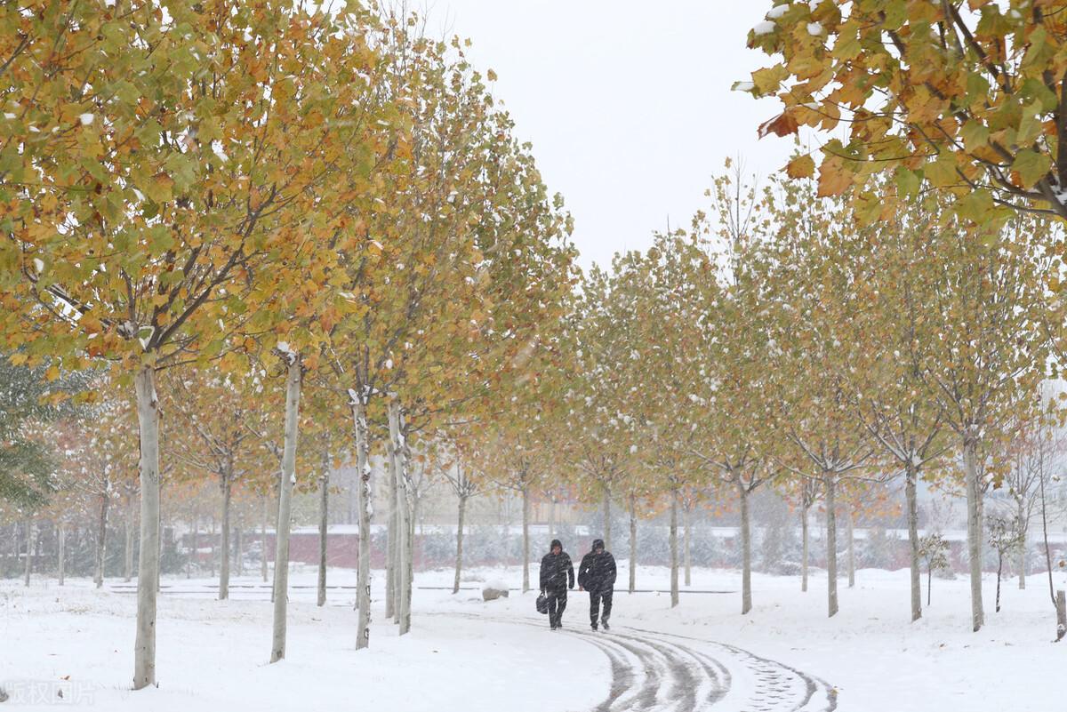 节气小雪下雨好吗（小雪节气晴天好还是下雨好）