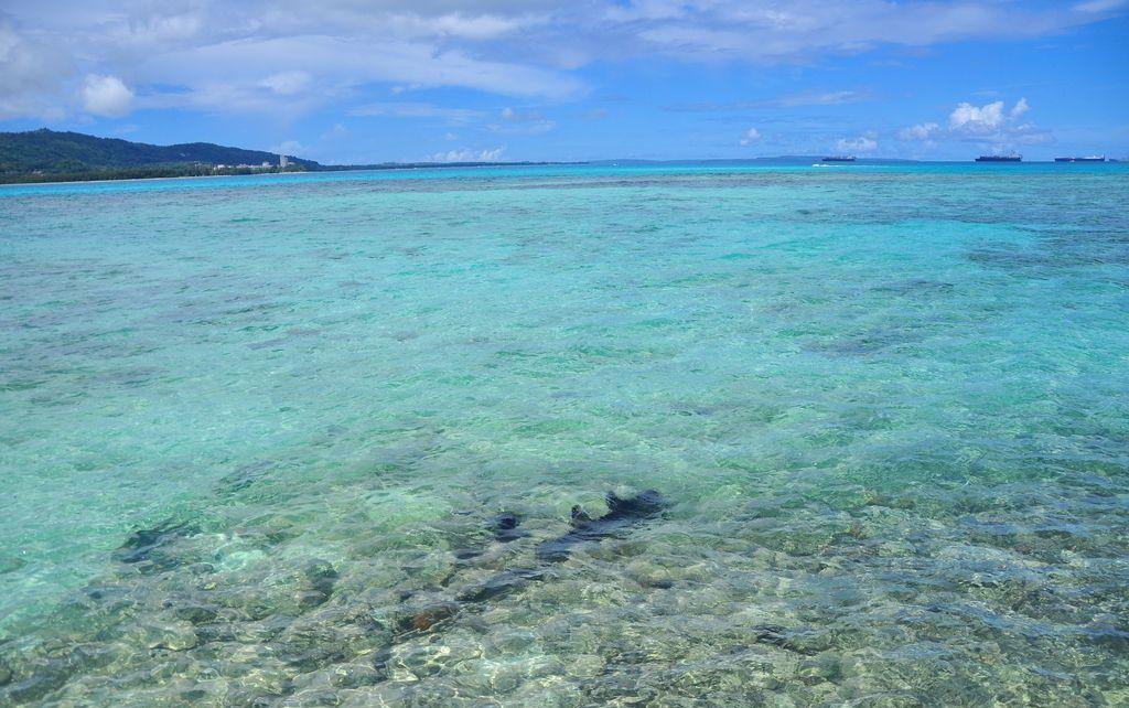 世界上最大的海——珊瑚海简介和图片风景大全