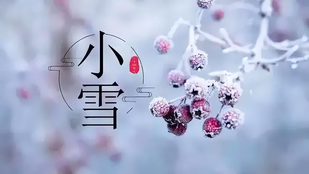 小雪节气的风俗食物有哪些（小雪节气适合做的食物有哪些）