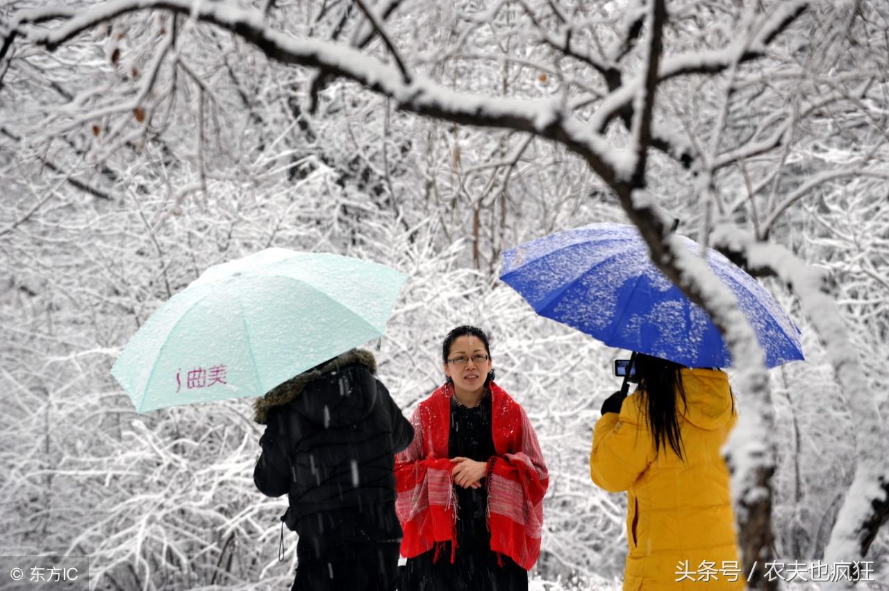 “小雪节到下大雪，大雪节到没了雪”是什么意思？