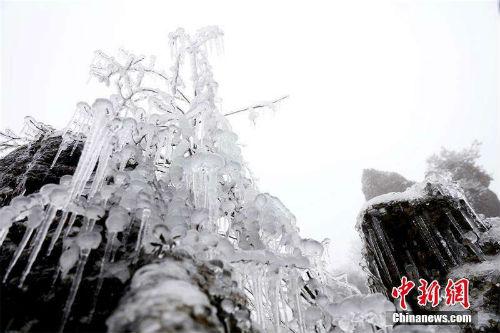 大雪吃什么传统食物（大雪节气的风俗食物）