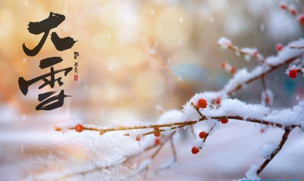 大雪节气谚语顺口溜大全(大雪节气的农谚谚语大全)