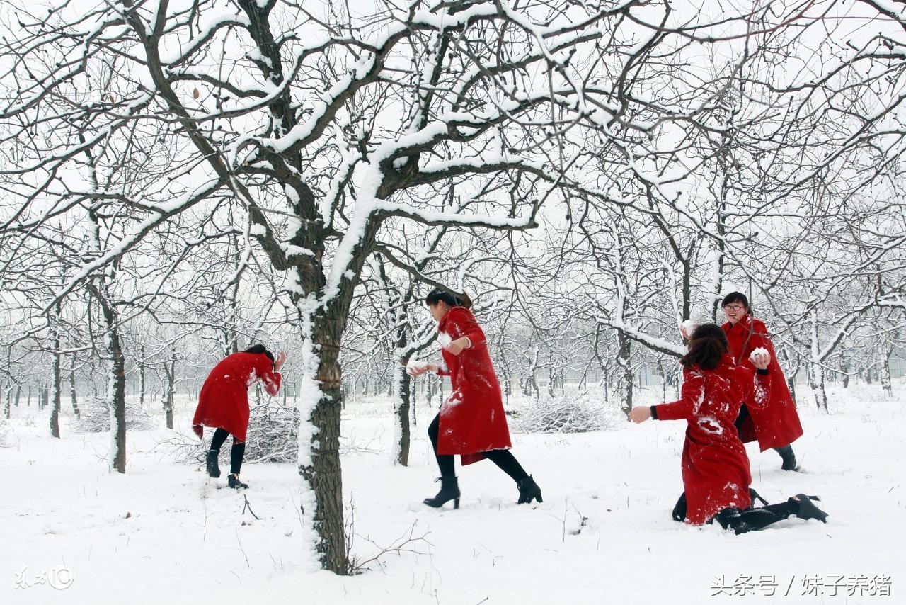 农村谚语先下小雪有大片后一句是什么?