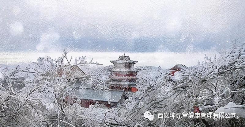 大雪节气吃什么食物最好?(大雪节气养生小知识)