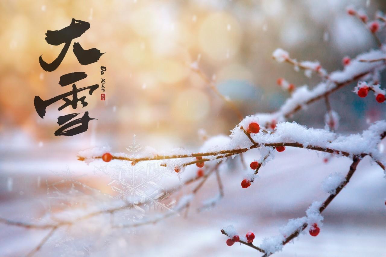 大雪节气的诗句古诗大全精选